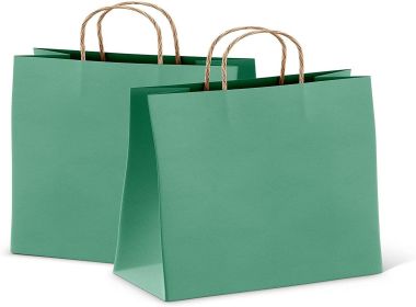 Teal Shopping Bags Bulk Pack of 25 Large Paper Bags 16 x 6 x 12 Kraft Bags with Handles 16x6x12 Paper Kraft Bag 150 GSM Wine Bag