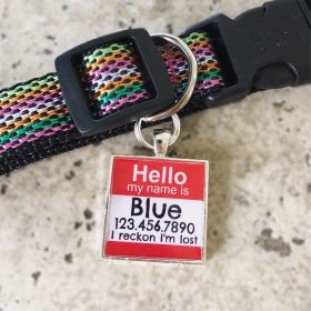 Hello Personalized Silver Dog ID Pet Tag (shape: SQUARE, HELLO CENTER DESIGN COLOR: BLUE-GREEN)